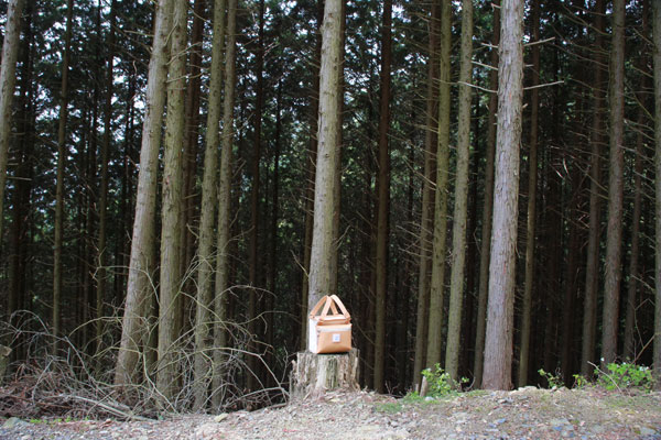 iPhone6 Plus �{�v�蒠�^���U�[�P�[�X